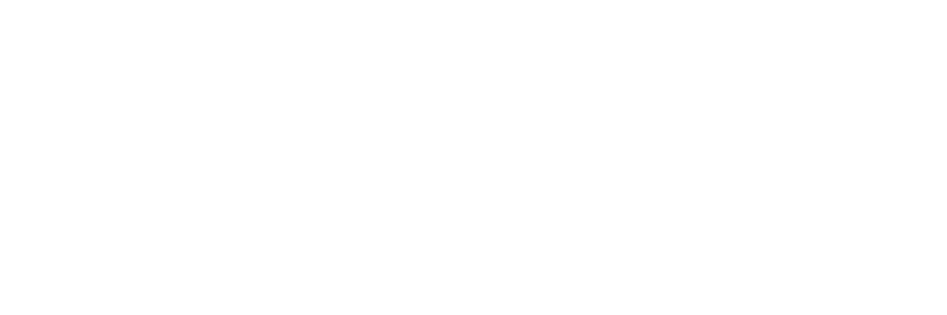 Bookingvans Ocasión